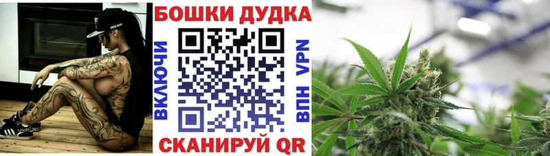 Где можно купить наркотики Вятские Поляны Кокаин  Мефедрон  ГАШИШ  АМФЕТАМИН  Бошки Шишки 