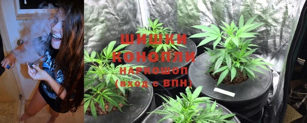мяу мяу кристалл Богданович