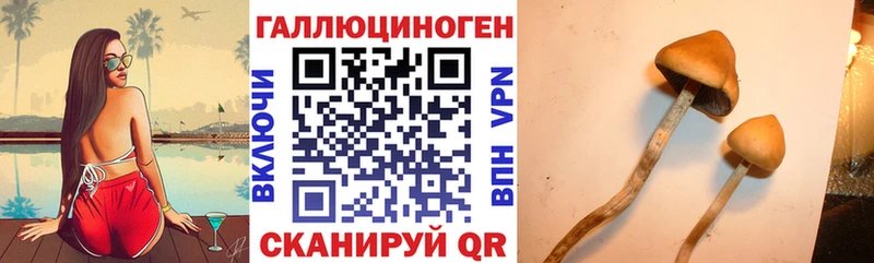 Галлюциногенные грибы мицелий  Вятские Поляны 
