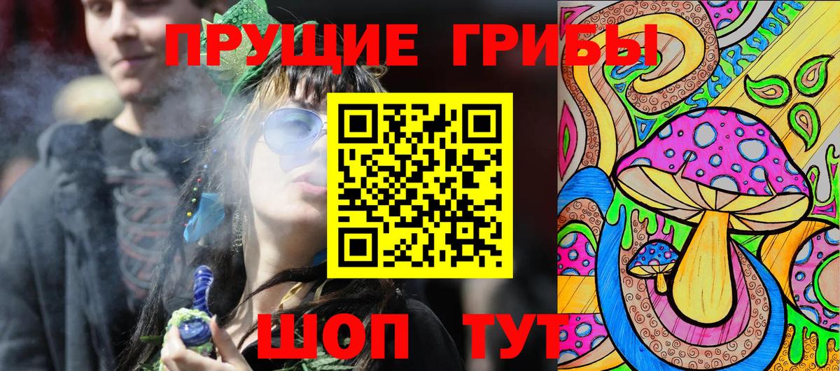 Псилоцибиновые грибы Psilocybine cubensis  Вход с VPN  Вятские Поляны 