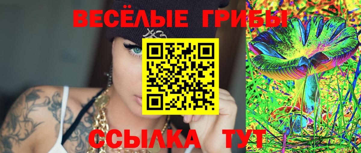 Псилоцибиновые грибы Psilocybine cubensis Вятские Поляны